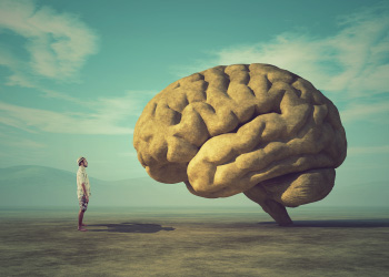 Blogimage für Verkaufspsychologie